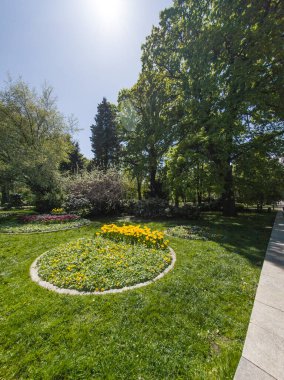 Bulgaristan 'ın Sofya kentindeki Borisova gradina (Boris Garden)' ın İnanılmaz Baharı