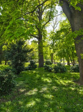 Bulgaristan 'ın Sofya kentindeki Borisova gradina (Boris Garden)' ın İnanılmaz Baharı