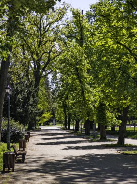 Bulgaristan 'ın Sofya kentindeki Borisova gradina (Boris Garden)' ın İnanılmaz Baharı