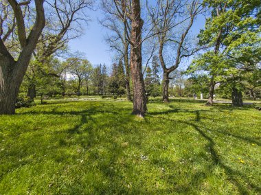Bulgaristan 'ın Sofya kentindeki Borisova gradina (Boris Garden)' ın İnanılmaz Baharı