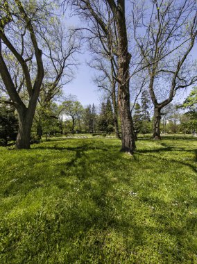 Bulgaristan 'ın Sofya kentindeki Borisova gradina (Boris Garden)' ın İnanılmaz Baharı
