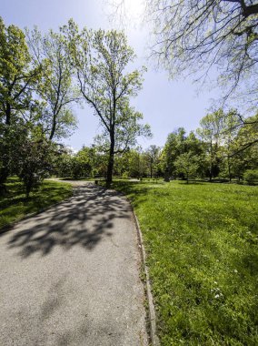 Bulgaristan 'ın Sofya kentindeki Borisova gradina (Boris Garden)' ın İnanılmaz Baharı