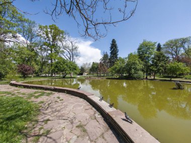 Bulgaristan 'ın Sofya kentindeki Borisova gradina (Boris Garden)' ın İnanılmaz Baharı
