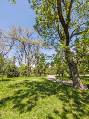 Bulgaristan 'ın Sofya kentindeki Borisova gradina (Boris Garden)' ın İnanılmaz Baharı
