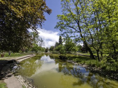 Bulgaristan 'ın Sofya kentindeki Borisova gradina (Boris Garden)' ın İnanılmaz Baharı