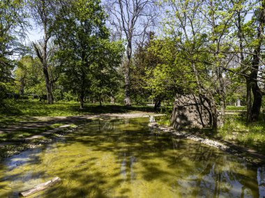 Bulgaristan 'ın Sofya kentindeki Borisova gradina (Boris Garden)' ın İnanılmaz Baharı