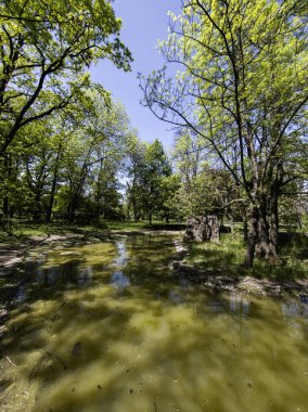 Bulgaristan 'ın Sofya kentindeki Borisova gradina (Boris Garden)' ın İnanılmaz Baharı