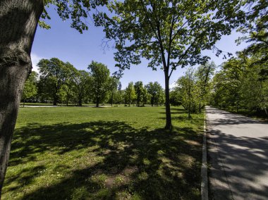 Bulgaristan 'ın Sofya kentindeki Borisova gradina (Boris Garden)' ın İnanılmaz Baharı