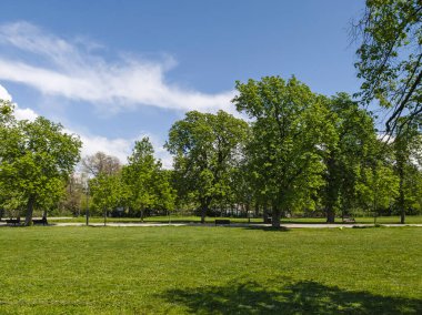 Bulgaristan 'ın Sofya kentindeki Borisova gradina (Boris Garden)' ın İnanılmaz Baharı