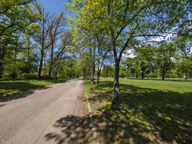Bulgaristan 'ın Sofya kentindeki Borisova gradina (Boris Garden)' ın İnanılmaz Baharı