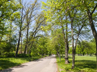 Bulgaristan 'ın Sofya kentindeki Borisova gradina (Boris Garden)' ın İnanılmaz Baharı