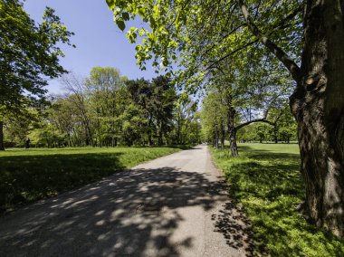 Bulgaristan 'ın Sofya kentindeki Borisova gradina (Boris Garden)' ın İnanılmaz Baharı