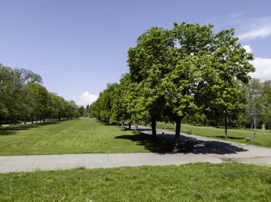 Bulgaristan 'ın Sofya kentindeki Borisova gradina (Boris Garden)' ın İnanılmaz Baharı