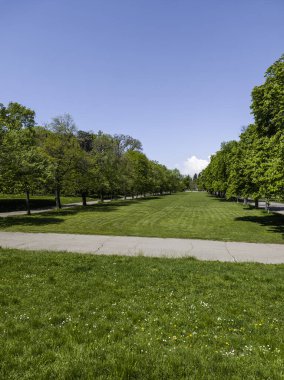 Bulgaristan 'ın Sofya kentindeki Borisova gradina (Boris Garden)' ın İnanılmaz Baharı