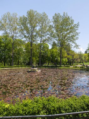 Bulgaristan 'ın Sofya kentindeki Borisova gradina (Boris Garden)' ın İnanılmaz Baharı