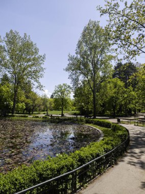 Bulgaristan 'ın Sofya kentindeki Borisova gradina (Boris Garden)' ın İnanılmaz Baharı