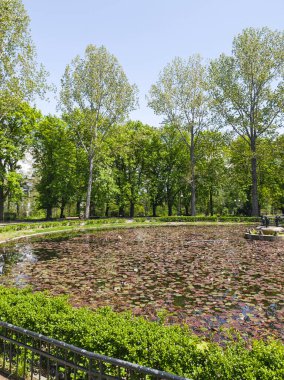 Bulgaristan 'ın Sofya kentindeki Borisova gradina (Boris Garden)' ın İnanılmaz Baharı