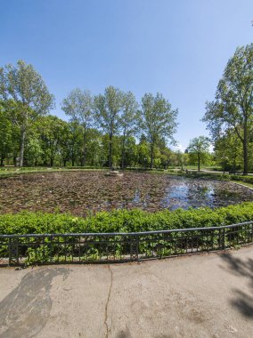 Bulgaristan 'ın Sofya kentindeki Borisova gradina (Boris Garden)' ın İnanılmaz Baharı