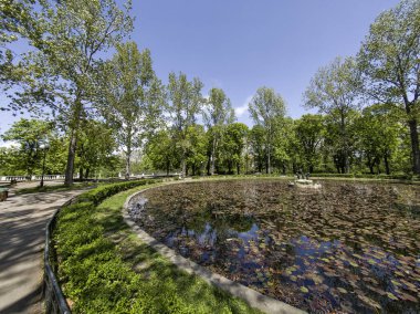 Bulgaristan 'ın Sofya kentindeki Borisova gradina (Boris Garden)' ın İnanılmaz Baharı