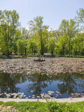 Bulgaristan 'ın Sofya kentindeki Borisova gradina (Boris Garden)' ın İnanılmaz Baharı