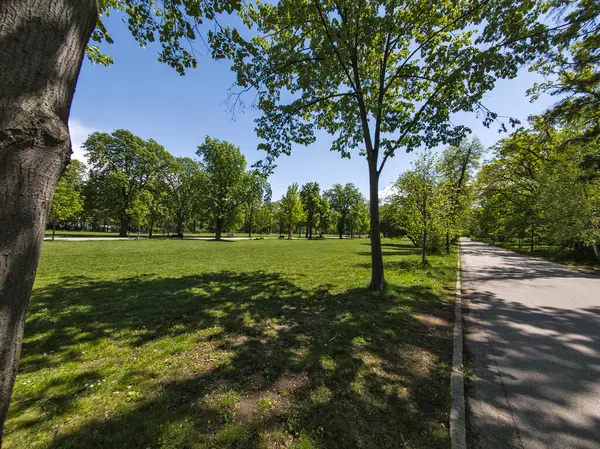 Bulgaristan 'ın Sofya kentindeki Borisova gradina (Boris Garden)' ın İnanılmaz Baharı