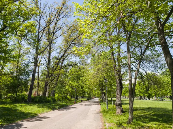 Bulgaristan 'ın Sofya kentindeki Borisova gradina (Boris Garden)' ın İnanılmaz Baharı
