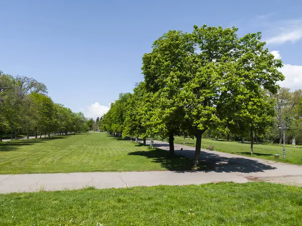 Bulgaristan 'ın Sofya kentindeki Borisova gradina (Boris Garden)' ın İnanılmaz Baharı