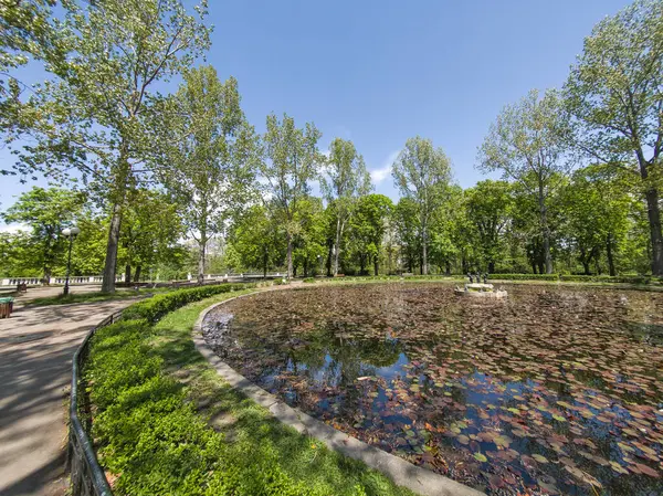 Bulgaristan 'ın Sofya kentindeki Borisova gradina (Boris Garden)' ın İnanılmaz Baharı