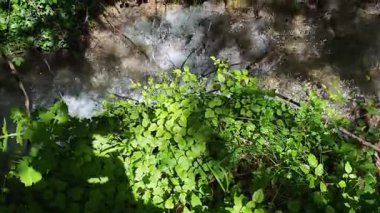 Bulgaristan 'ın Filibe bölgesindeki Rodos Dağı' nda Bachkovo şelaleleri çağlıyor