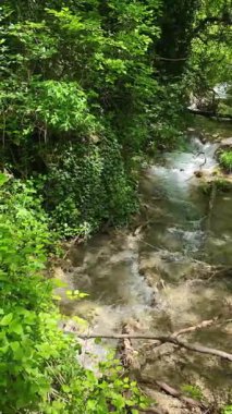 Bulgaristan 'ın Filibe bölgesindeki Rodos Dağı' nda Bachkovo şelaleleri çağlıyor