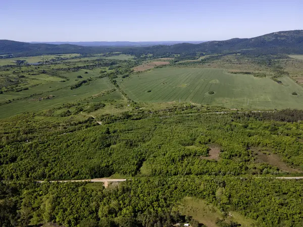 Bulgaristan 'ın Burgaz Bölgesi Gradina (Bahçe) Plajı yakınlarındaki Karadeniz kıyı şeridinin havadan görüntüsü