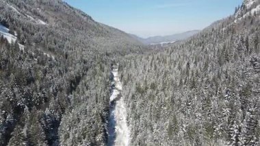 Bulgaristan 'ın Sofya Bölgesi Beli Iskar nehri yakınlarındaki Rila Dağı' nın kış manzarası