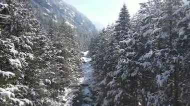 Bulgaristan 'ın Sofya Bölgesi Beli Iskar nehri yakınlarındaki Rila Dağı' nın kış manzarası