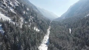 Bulgaristan 'ın Sofya Bölgesi Beli Iskar nehri yakınlarındaki Rila Dağı' nın kış manzarası