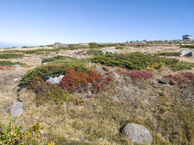 Bulgaristan 'ın Cherni Vrah zirvesi yakınlarındaki Vitosha Dağı' nın şaşırtıcı sonbahar manzarası