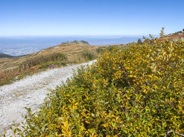 Bulgaristan 'ın Cherni Vrah zirvesi yakınlarındaki Vitosha Dağı' nın şaşırtıcı sonbahar manzarası