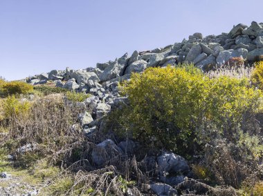 Bulgaristan 'ın Cherni Vrah zirvesi yakınlarındaki Vitosha Dağı' nın şaşırtıcı sonbahar manzarası
