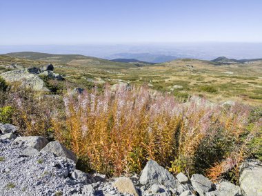 Bulgaristan 'ın Cherni Vrah zirvesi yakınlarındaki Vitosha Dağı' nın şaşırtıcı sonbahar manzarası