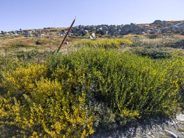 Bulgaristan 'ın Cherni Vrah zirvesi yakınlarındaki Vitosha Dağı' nın şaşırtıcı sonbahar manzarası