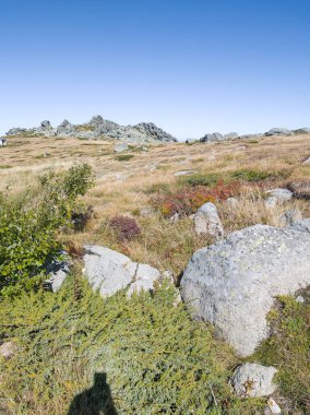 Bulgaristan 'ın Cherni Vrah zirvesi yakınlarındaki Vitosha Dağı' nın şaşırtıcı sonbahar manzarası