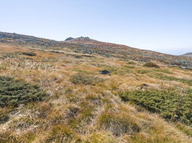 Bulgaristan 'ın Cherni Vrah zirvesi yakınlarındaki Vitosha Dağı' nın şaşırtıcı sonbahar manzarası