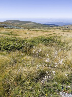 Bulgaristan 'ın Cherni Vrah zirvesi yakınlarındaki Vitosha Dağı' nın şaşırtıcı sonbahar manzarası