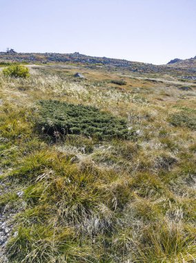 Bulgaristan 'ın Cherni Vrah zirvesi yakınlarındaki Vitosha Dağı' nın şaşırtıcı sonbahar manzarası