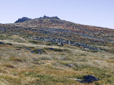 Bulgaristan 'ın Cherni Vrah zirvesi yakınlarındaki Vitosha Dağı' nın şaşırtıcı sonbahar manzarası