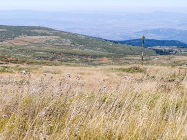 Bulgaristan 'ın Cherni Vrah zirvesi yakınlarındaki Vitosha Dağı' nın şaşırtıcı sonbahar manzarası