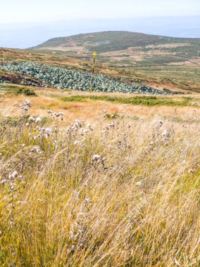 Bulgaristan 'ın Cherni Vrah zirvesi yakınlarındaki Vitosha Dağı' nın şaşırtıcı sonbahar manzarası