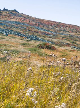 Bulgaristan 'ın Cherni Vrah zirvesi yakınlarındaki Vitosha Dağı' nın şaşırtıcı sonbahar manzarası