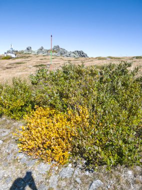 Bulgaristan 'ın Cherni Vrah zirvesi yakınlarındaki Vitosha Dağı' nın şaşırtıcı sonbahar manzarası