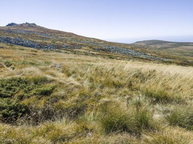 Bulgaristan 'ın Cherni Vrah zirvesi yakınlarındaki Vitosha Dağı' nın şaşırtıcı sonbahar manzarası