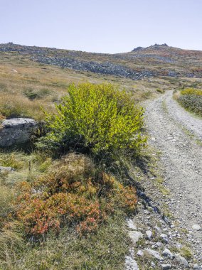 Bulgaristan 'ın Cherni Vrah zirvesi yakınlarındaki Vitosha Dağı' nın şaşırtıcı sonbahar manzarası
